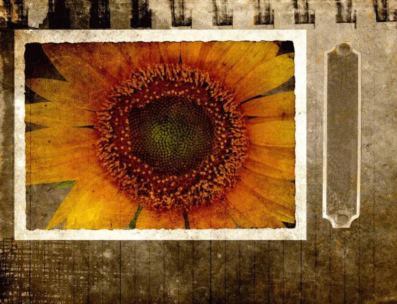 Vintage Sunflower Frame