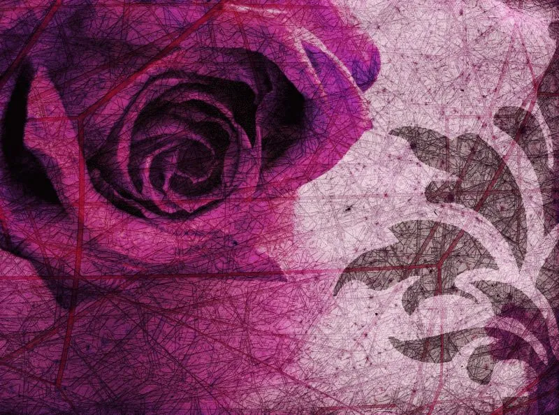 Magenta Rose Damask