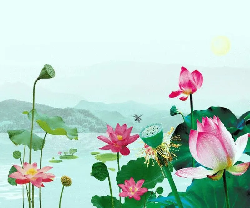 Pink Lotus Mountain Lake