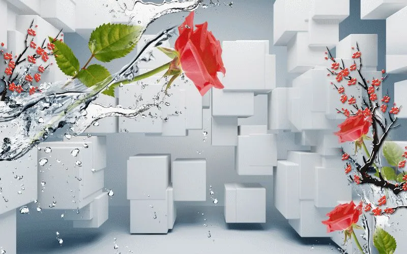 Red Rose Splash Cubes