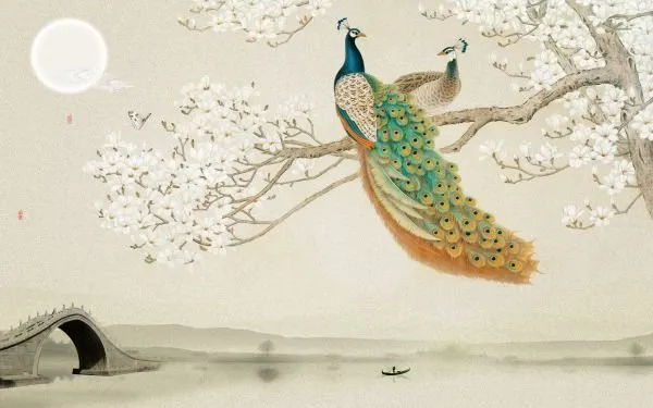 Peacock #018