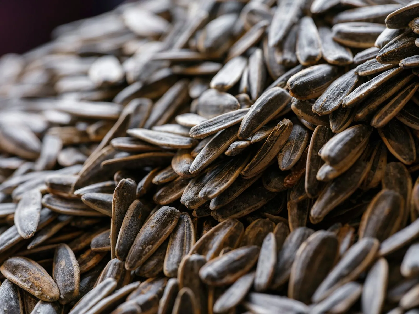 A pile of roasted seeds