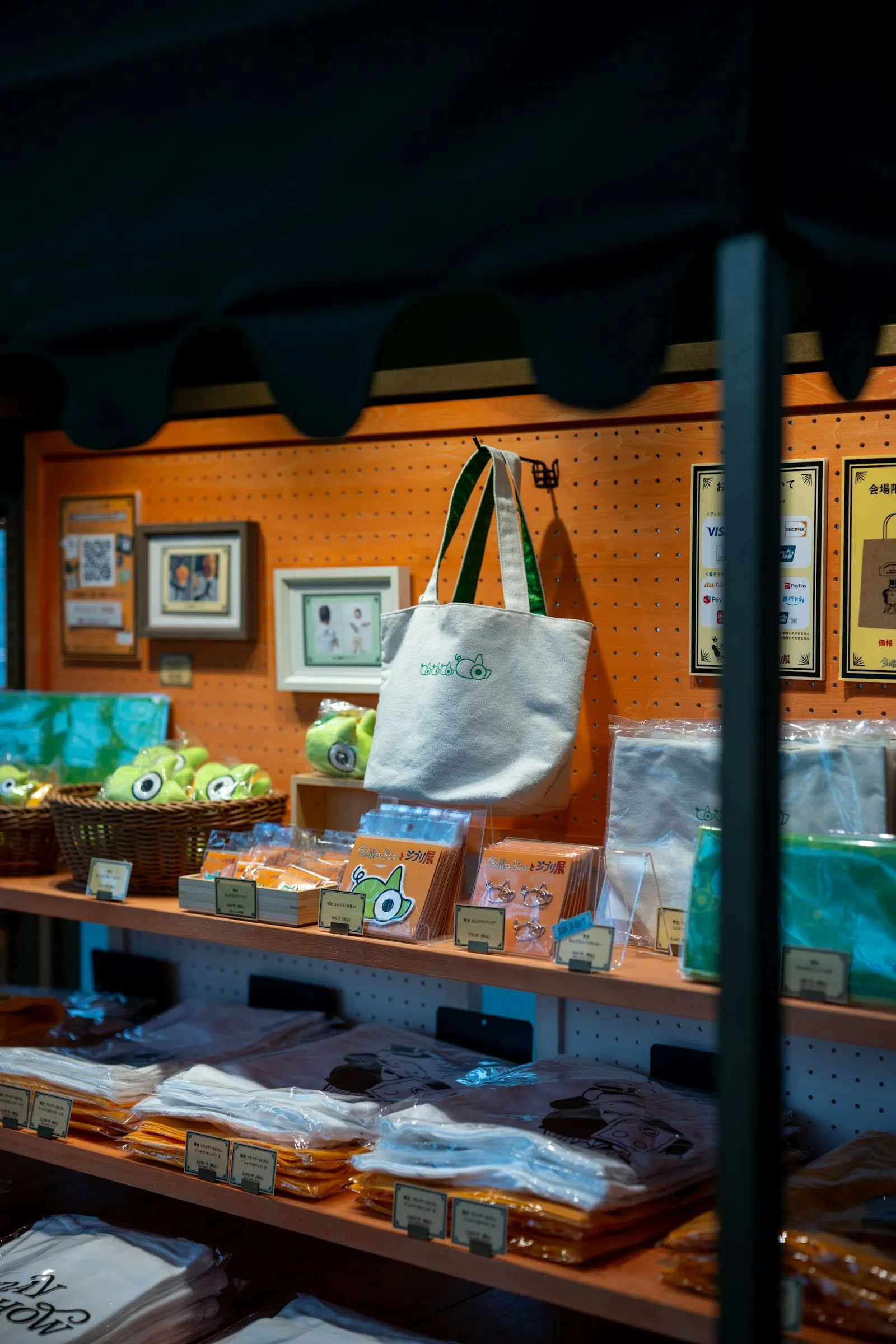 Merchandise displayed on shelves in a store