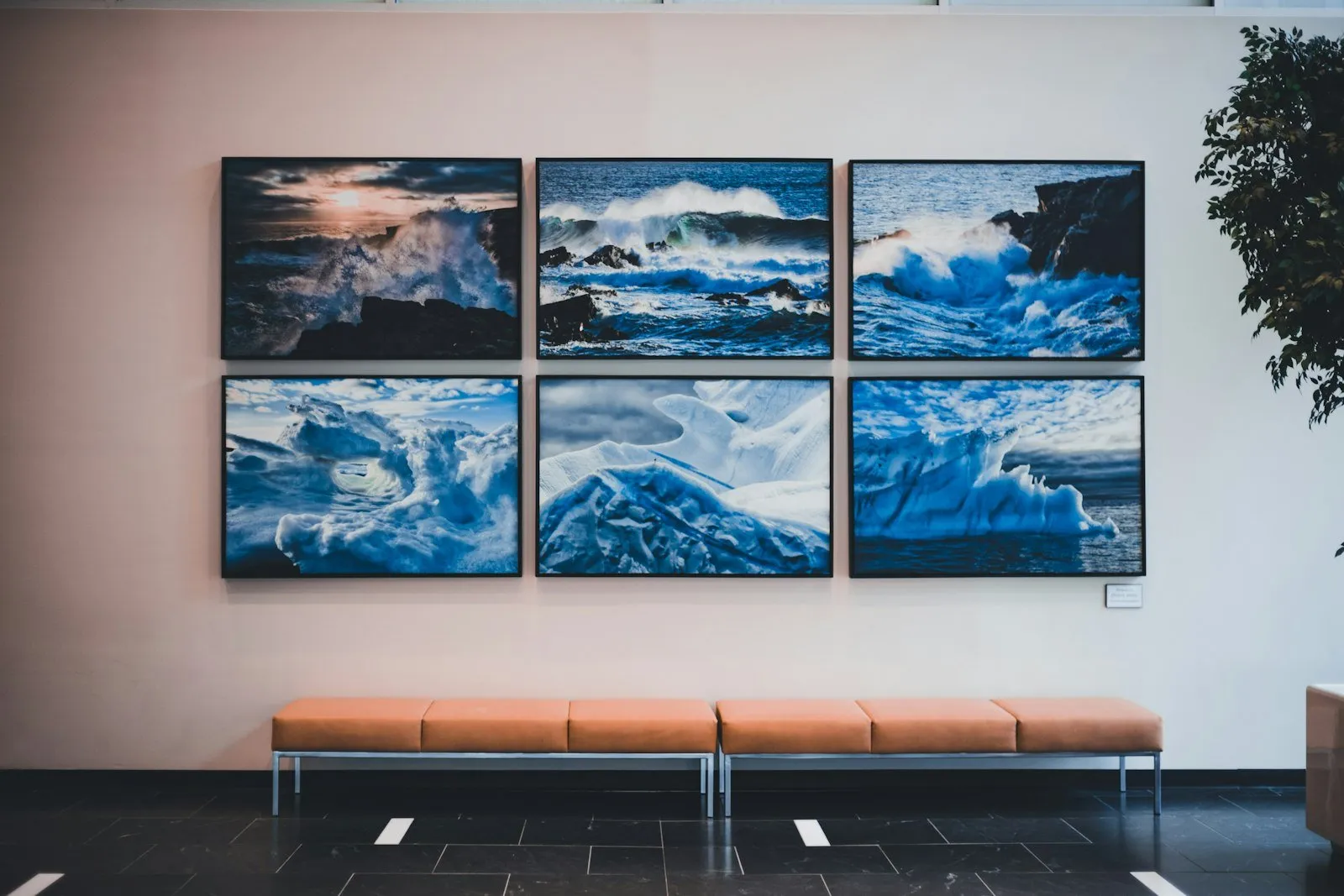 Gallery wall with paintings
